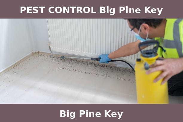 PEST CONTROL Big Pine Key